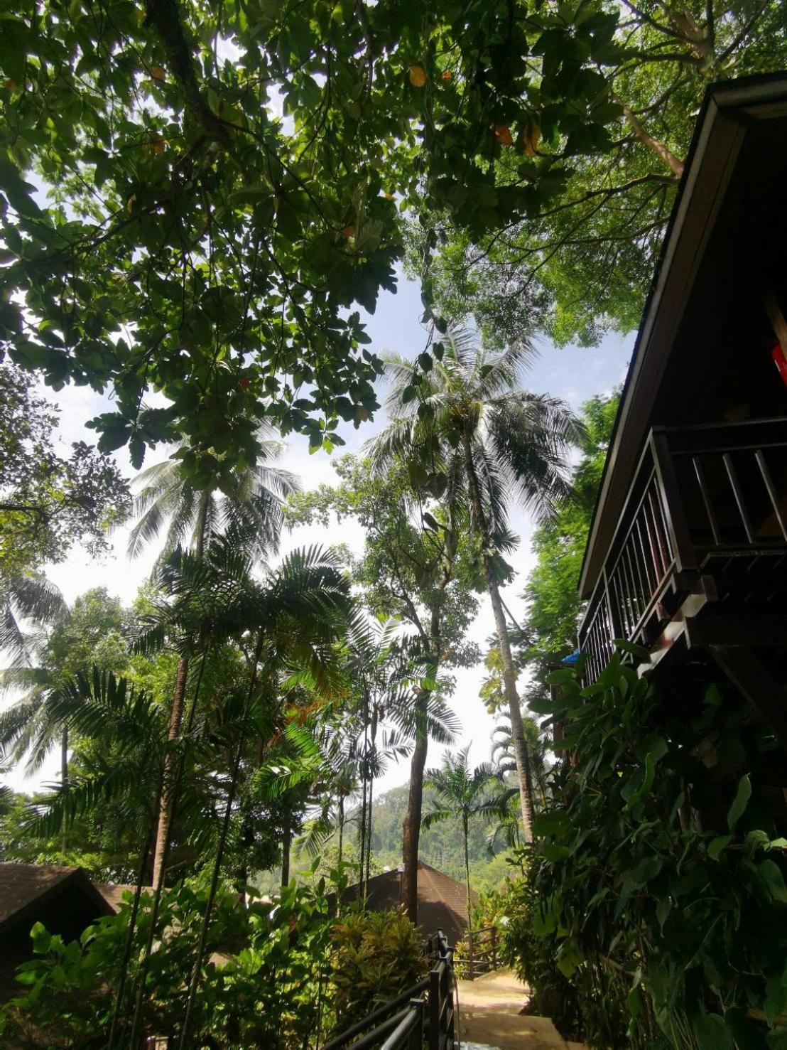 Baan Krating Khao Lak Resort - Sha Plus Екстериор снимка