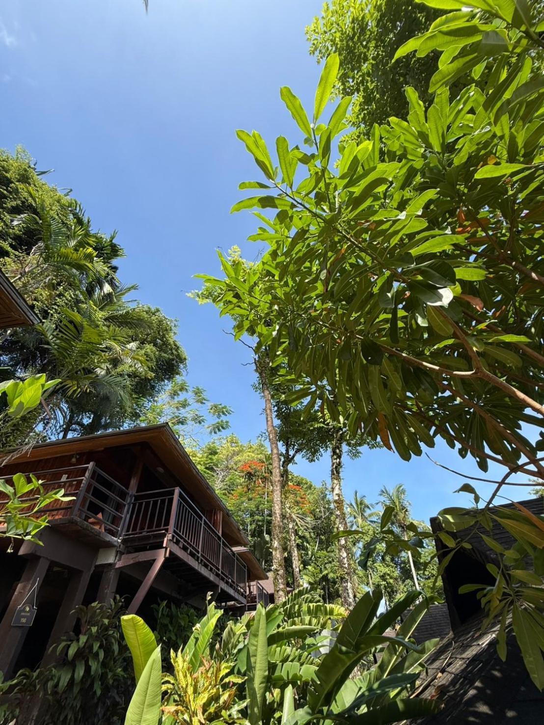 Baan Krating Khao Lak Resort - Sha Plus Екстериор снимка